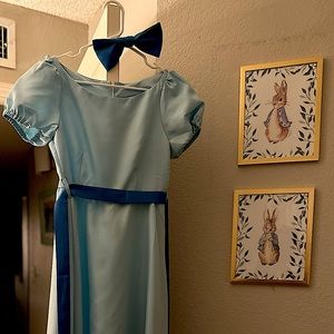 Wendy from Peter Pan adult costume